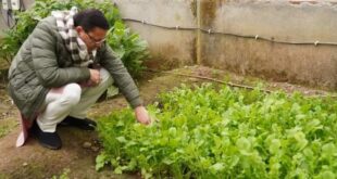 मुख्यमंत्री पुष्कर सिंह धामी ने मुख्यमंत्री आवास स्थित पॉली हाउस में उगाई हुई सब्जियों का निरीक्षण किया