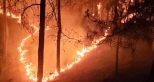 उत्तराखंड के जंगलों की आग,वनकर्मी बुझा रहें दिन रात