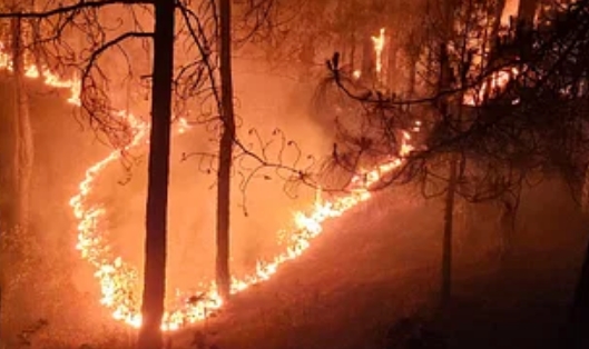 उत्तराखंड के जंगलों की आग,वनकर्मी बुझा रहें दिन रात