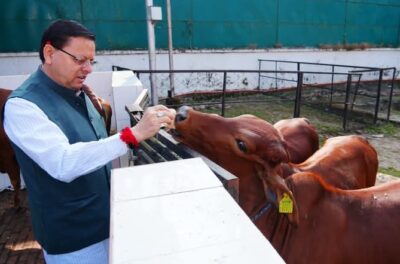 Uttarakhand Gau Sanrakshan मुख्यमंत्री धामी ने की गोवर्धन पूजा,निराश्रित गौवंश के लिए बड़ा ऐलान